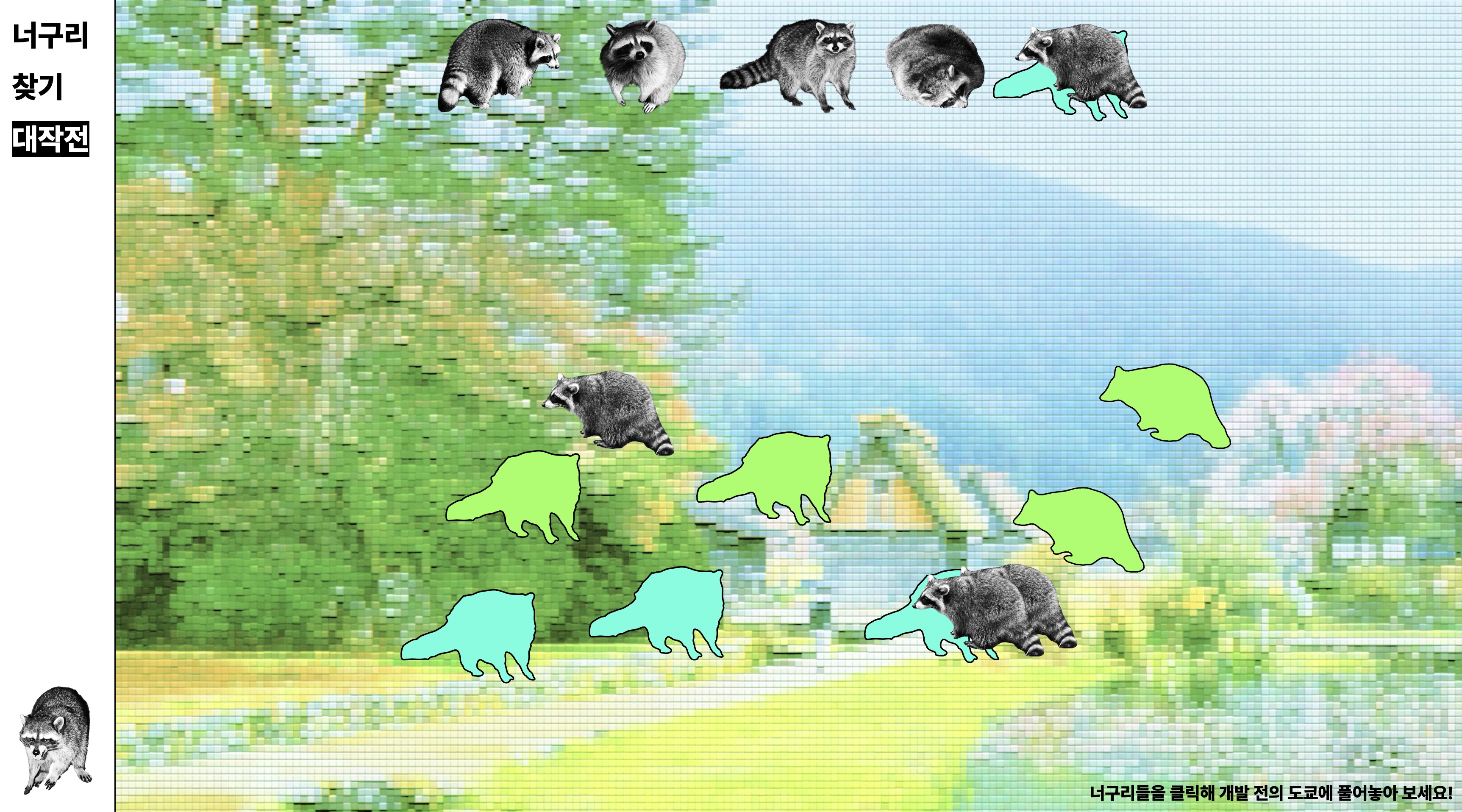 Where did all the raccoons go?